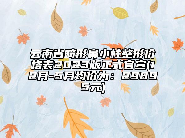 云南省畸形鼻小柱整形价格表2023版正式官宣(12月-5月均价为：29895元)