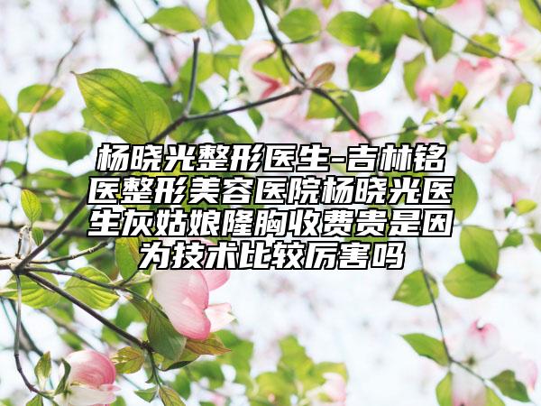 杨晓光整形医生-吉林铭医整形美容医院杨晓光医生灰姑娘隆胸收费贵是因为技术比较厉害吗