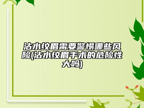 沾水纹眉需要警惕哪些风险(沾水纹眉手术的危险性大吗)