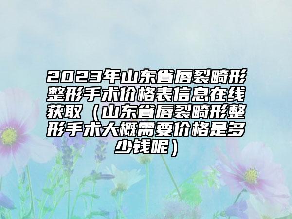 2023年山东省唇裂畸形整形手术价格表信息在线获取（山东省唇裂畸形整形手术大概需要价格是多少钱呢）