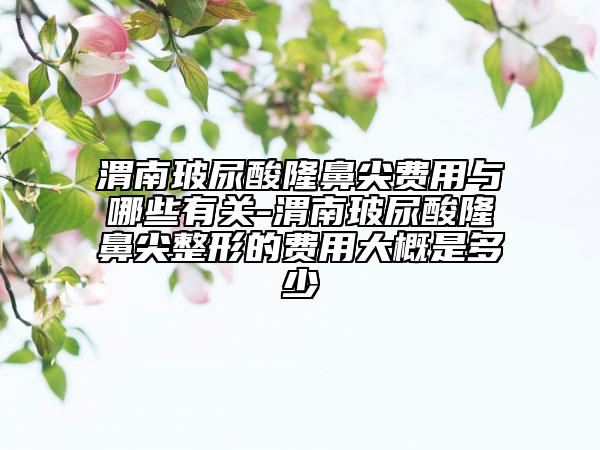 渭南玻尿酸隆鼻尖费用与哪些有关-渭南玻尿酸隆鼻尖整形的费用大概是多少