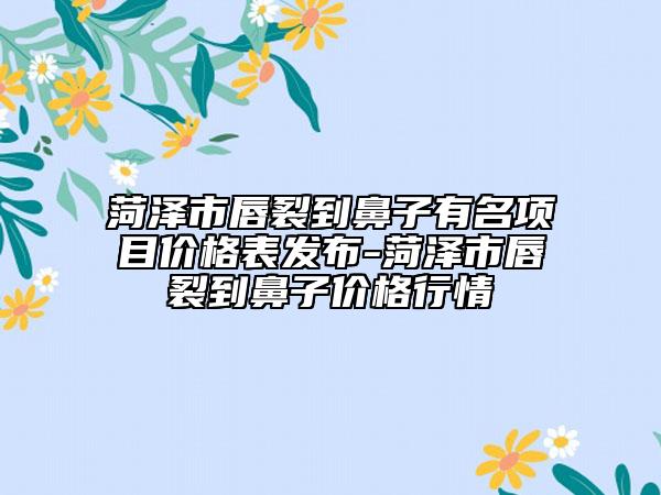 菏泽市唇裂到鼻子有名项目价格表发布-菏泽市唇裂到鼻子价格行情