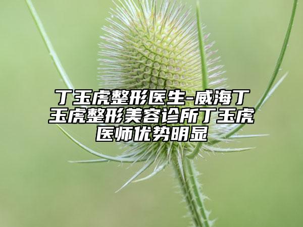丁玉虎整形医生-威海丁玉虎整形美容诊所丁玉虎医师优势明显