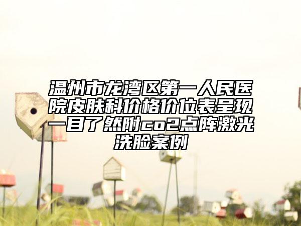 温州市龙湾区第一人民医院皮肤科价格价位表呈现一目了然附co2点阵激光洗脸案例