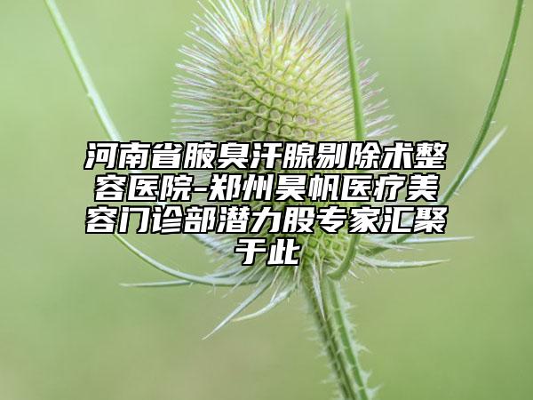 河南省腋臭汗腺剔除术整容医院-郑州昊帆医疗美容门诊部潜力股专家汇聚于此