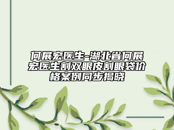 何展宏医生-湖北省何展宏医生割双眼皮割眼袋价格案例同步揭晓