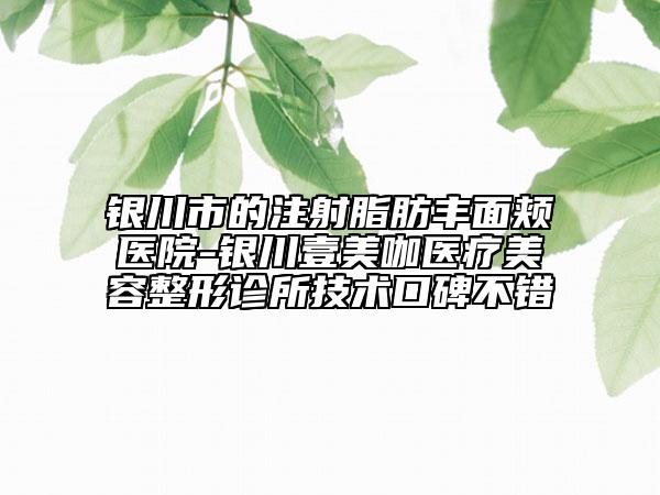 银川市的注射脂肪丰面颊医院-银川壹美咖医疗美容整形诊所技术口碑不错