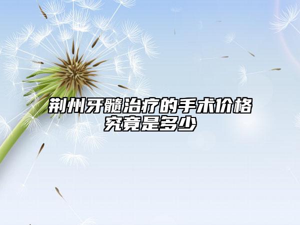 荆州牙髓治疗的手术价格究竟是多少