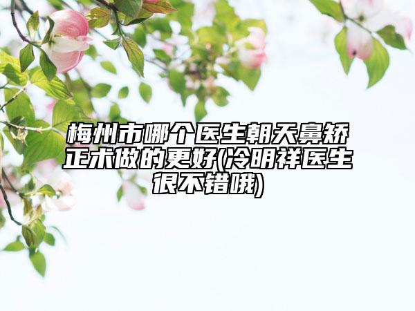 梅州市哪个医生朝天鼻矫正术做的更好(冷明祥医生很不错哦)
