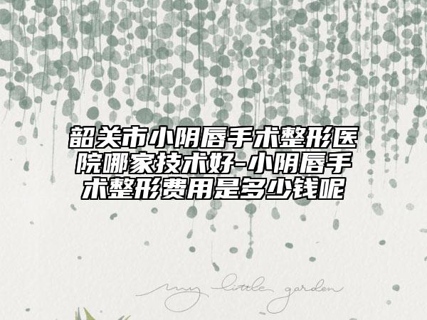 韶关市小阴唇手术整形医院哪家技术好-小阴唇手术整形费用是多少钱呢