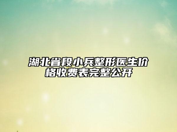 湖北省段小兵整形医生价格收费表完整公开