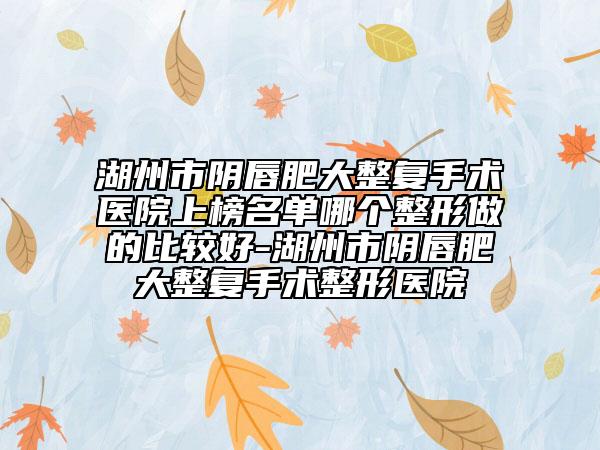 湖州市阴唇肥大整复手术医院上榜名单哪个整形做的比较好-湖州市阴唇肥大整复手术整形医院