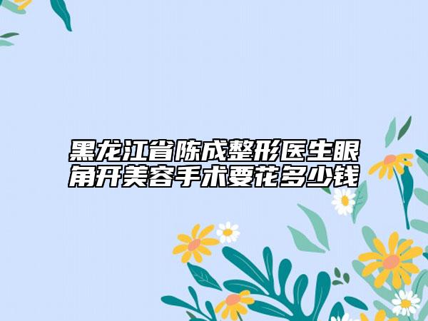 黑龙江省陈成整形医生眼角开美容手术要花多少钱