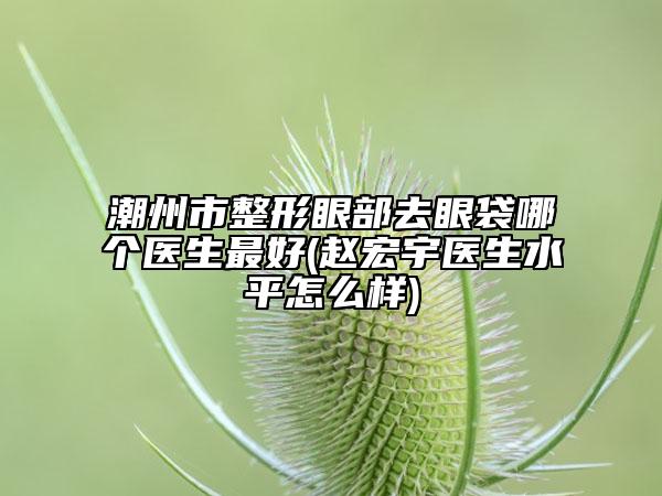潮州市整形眼部去眼袋哪个医生最好(赵宏宇医生水平怎么样)
