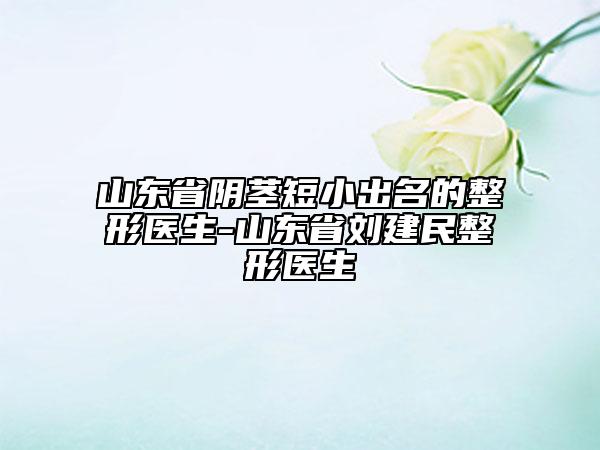 山东省阴茎短小出名的整形医生-山东省刘建民整形医生