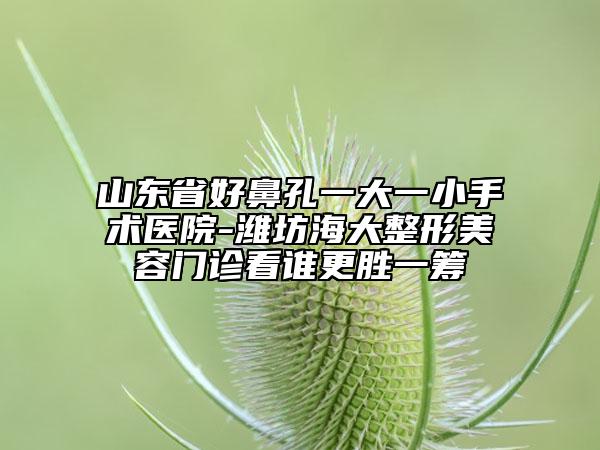 山东省好鼻孔一大一小手术医院-潍坊海大整形美容门诊看谁更胜一筹