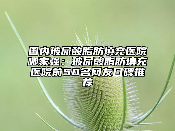 国内玻尿酸脂肪填充医院哪家强：玻尿酸脂肪填充医院前50名网友口碑推荐