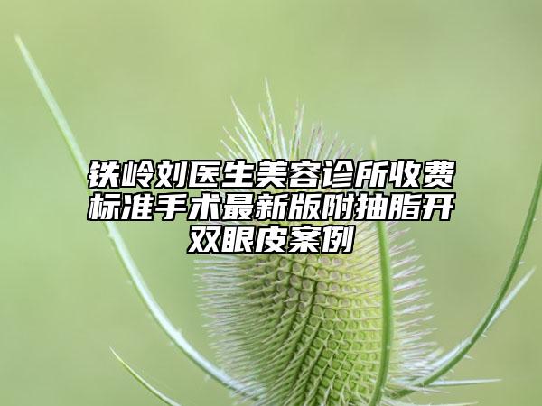 铁岭刘医生美容诊所收费标准手术最新版附抽脂开双眼皮案例