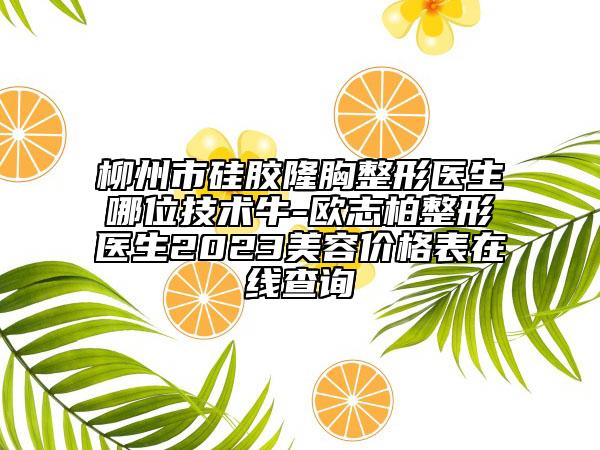 柳州市硅胶隆胸整形医生哪位技术牛-欧志柏整形医生2023美容价格表在线查询