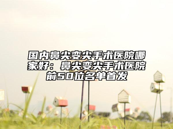 国内鼻尖变尖手术医院哪家好：鼻尖变尖手术医院前50位名单首发