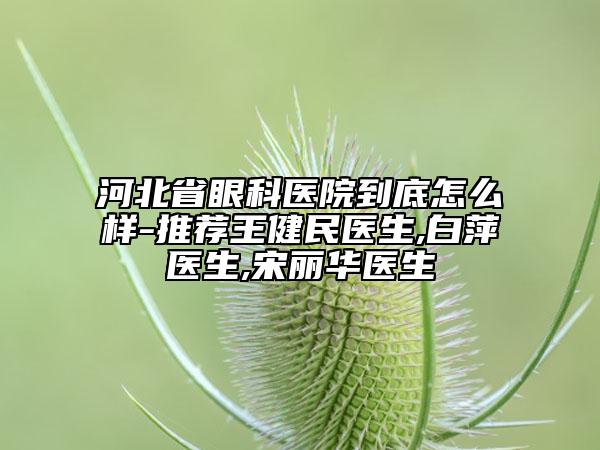 河北省眼科医院到底怎么样-推荐王健民医生,白萍医生,宋丽华医生