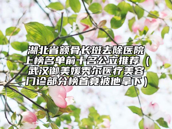 湖北省额骨长斑去除医院上榜名单前十名公立推荐（武汉御美媛秀尔医疗美容门诊部分榜首竟被他拿下）