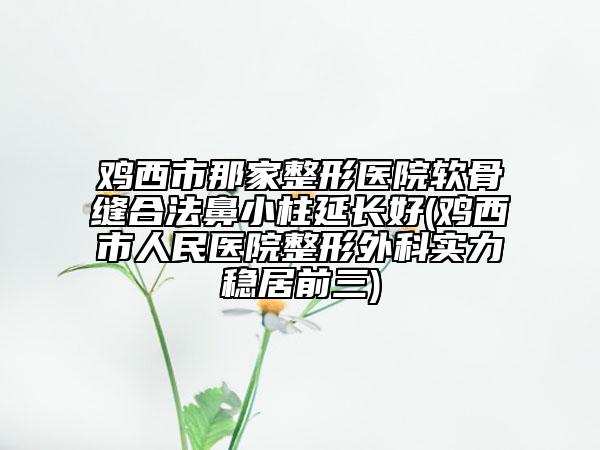鸡西市那家整形医院软骨缝合法鼻小柱延长好(鸡西市人民医院整形外科实力稳居前三)
