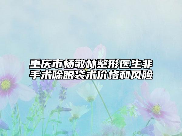 重庆市杨敬林整形医生非手术除眼袋术价格和风险
