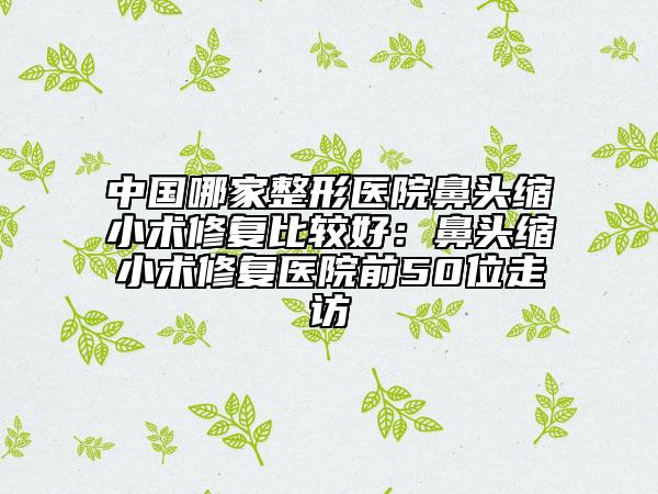 中国哪家整形医院鼻头缩小术修复比较好：鼻头缩小术修复医院前50位走访