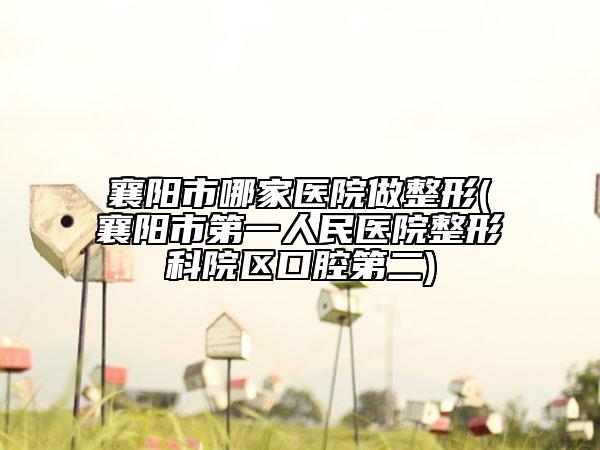 襄阳市哪家医院做整形(襄阳市第一人民医院整形科院区口腔第二)