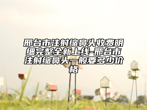 邢台市注射缩鼻头收费明细完整全新上线-邢台市注射缩鼻头一般要多少价格