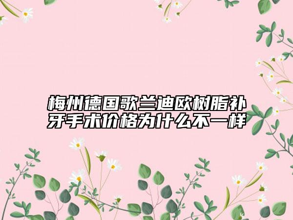 梅州德国歌兰迪欧树脂补牙手术价格为什么不一样