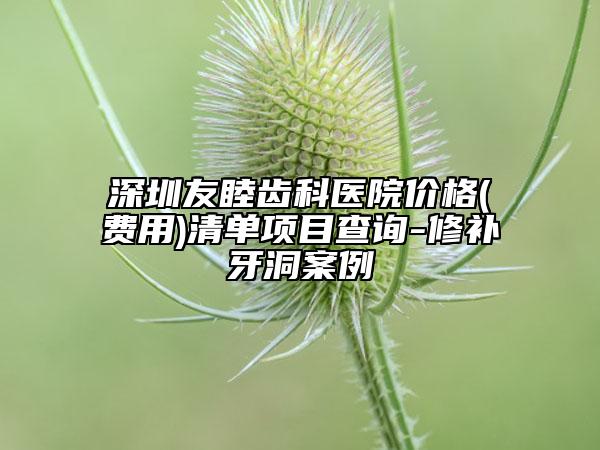 深圳友睦齿科医院价格(费用)清单项目查询-修补牙洞案例