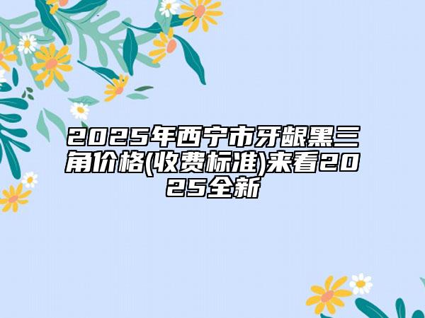 2025年西宁市牙龈黑三角价格(收费标准)来看2025全新