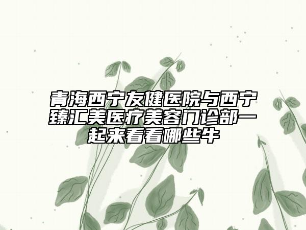 青海西宁友健医院与西宁臻汇美医疗美容门诊部一起来看看哪些牛