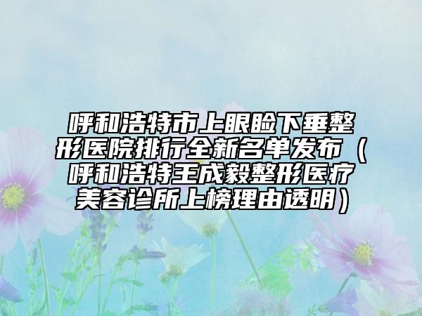 呼和浩特市上眼睑下垂整形医院排行全新名单发布（呼和浩特王成毅整形医疗美容诊所上榜理由透明）