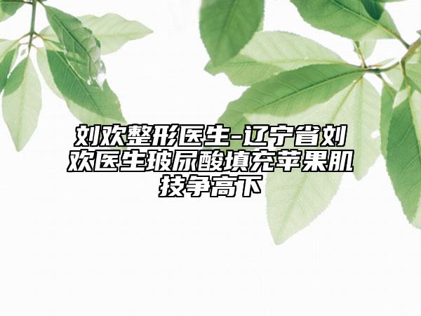 刘欢整形医生-辽宁省刘欢医生玻尿酸填充苹果肌技争高下