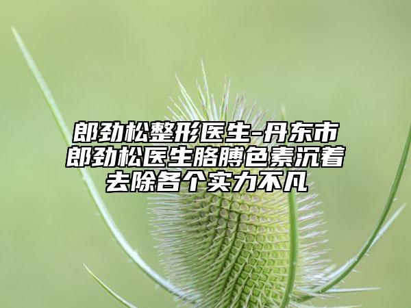 郎劲松整形医生-丹东市郎劲松医生胳膊色素沉着去除各个实力不凡