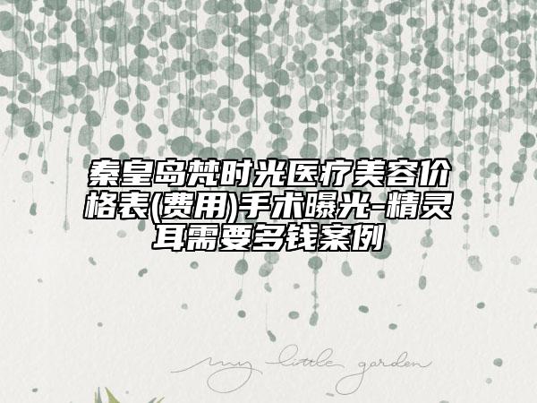 秦皇岛梵时光医疗美容价格表(费用)手术曝光-精灵耳需要多钱案例