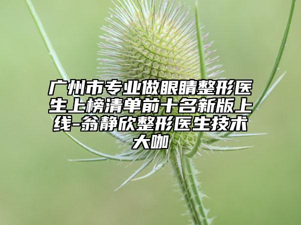 广州市专业做眼睛整形医生上榜清单前十名新版上线-翁静欣整形医生技术大咖