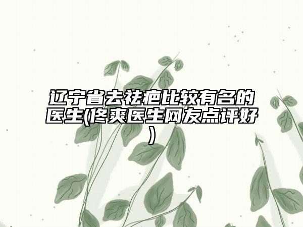 辽宁省去祛疤比较有名的医生(佟爽医生网友点评好)