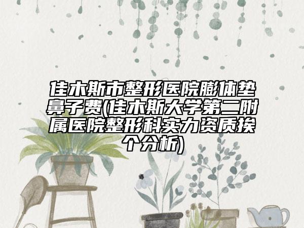 佳木斯市整形医院膨体垫鼻子费(佳木斯大学第二附属医院整形科实力资质挨个分析)