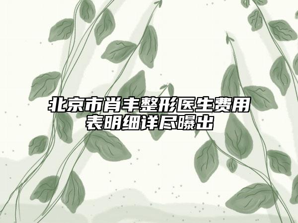 北京市肖丰整形医生费用表明细详尽曝出