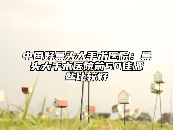 中国好鼻头大手术医院：鼻头大手术医院前50佳哪些比较好