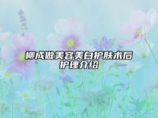柳成做美容美白护肤术后护理介绍