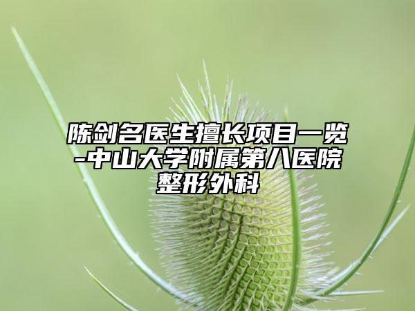 陈剑名医生擅长项目一览-中山大学附属第八医院整形外科