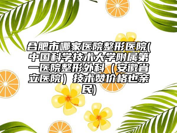 合肥市哪家医院整形医院(中国科学技术大学附属第一医院整形外科（安徽省立医院）技术赞价格也亲民)