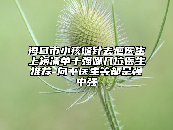 海口市小孩缝针去疤医生上榜清单十强哪几位医生推荐-向平医生等都是强中强