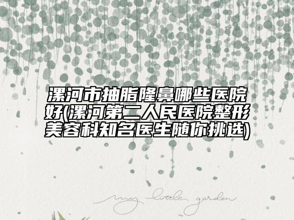 漯河市抽脂隆鼻哪些医院好(漯河第二人民医院整形美容科知名医生随你挑选)