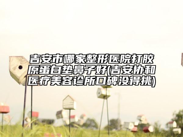 吉安市哪家整形医院打胶原蛋白垫鼻子好(吉安协和医疗美容诊所口碑没得挑)
